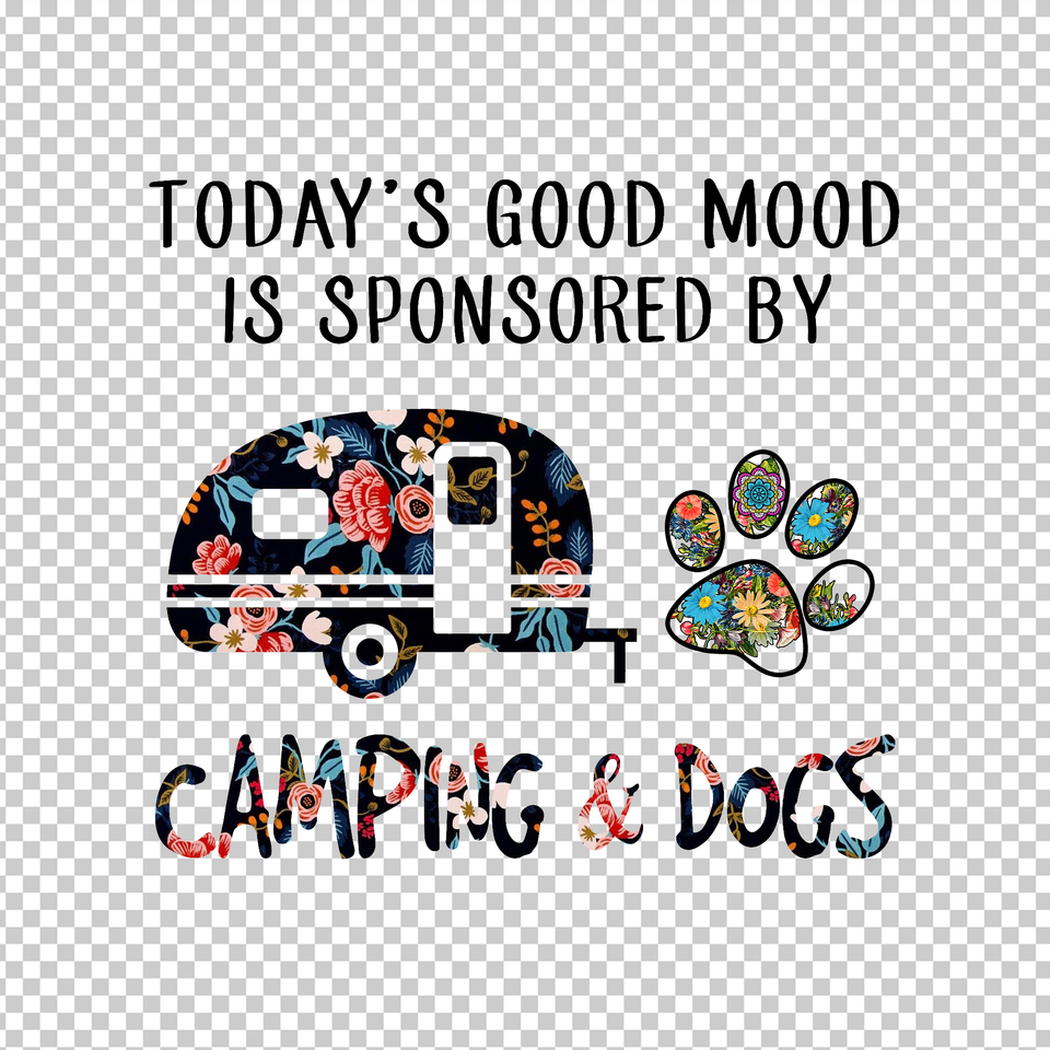 CAMPING 62