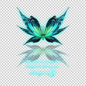 BUTTERFLY 17