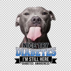 DIABETES AWARENESS 41