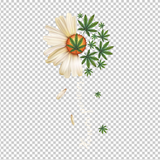 WEED 14
