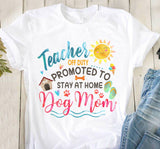 TEACHER 310