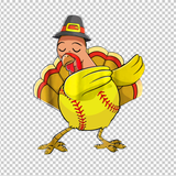 SOFTBALL 247