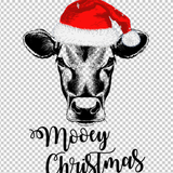 COW 69
