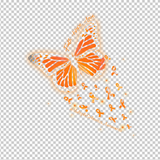 MULTIPLE SCLEROSIS AWARENESS 222