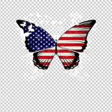 BUTTERFLY 24
