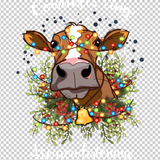 COW 101