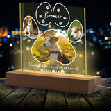You Left A Paw Print - Personalized Dog Shaped Led Night Light