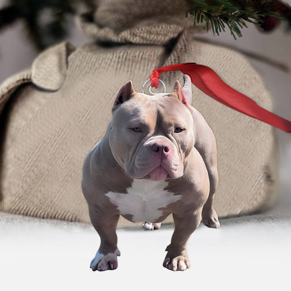 Any Photo Ornament - Personalized Dog Custom Shaped Ornament