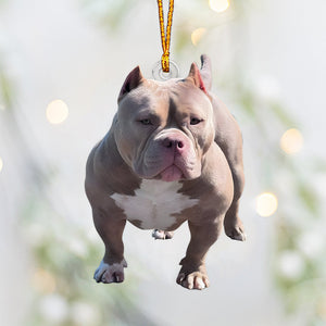 Any Photo Ornament - Personalized Dog Custom Shaped Ornament