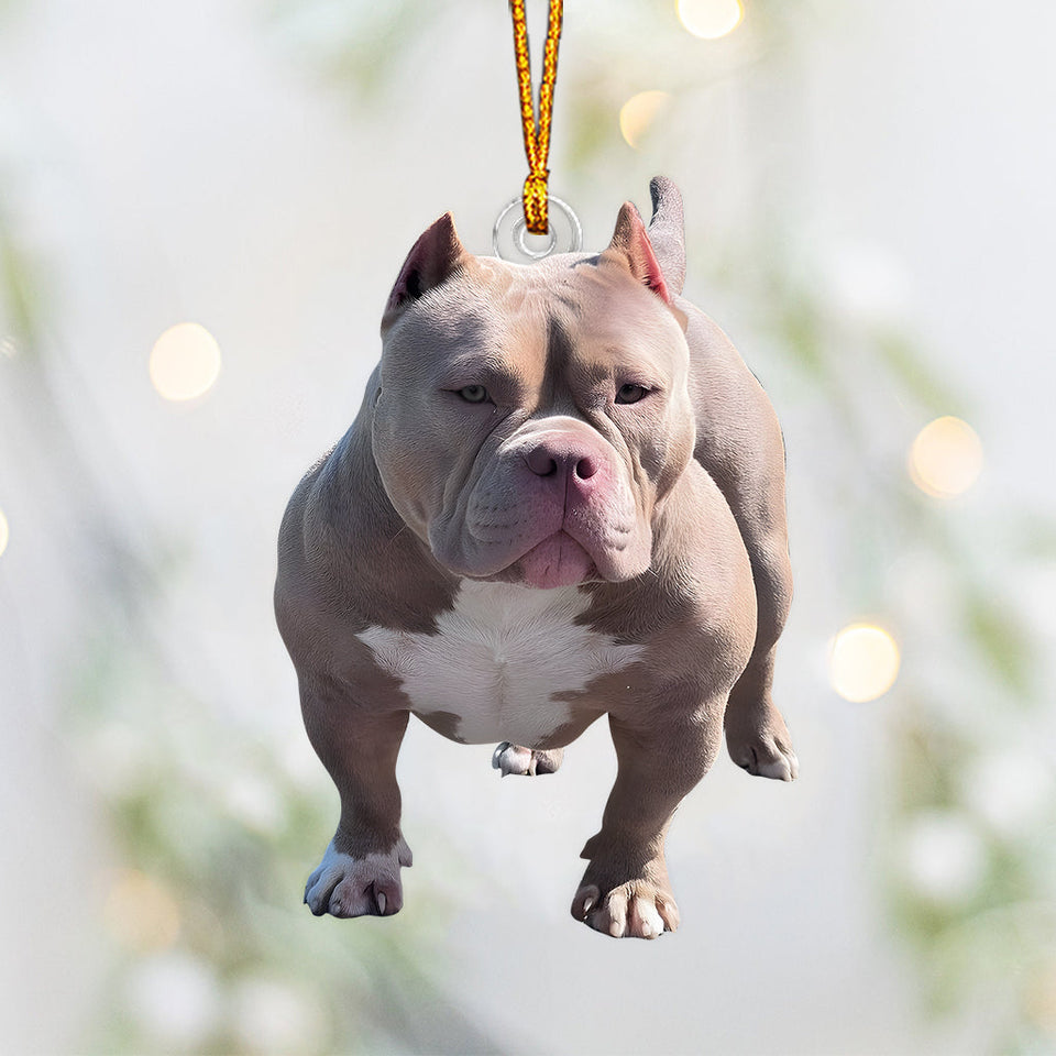 Any Photo Ornament - Personalized Dog Custom Shaped Ornament