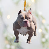 Any Photo Ornament - Personalized Dog Custom Shaped Ornament