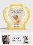 You Left Paw Prints On My Heart - Personalized Dog Photo Light Box
