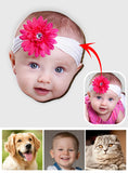 Any Photo - Personalized Shaped Car Visor Clip