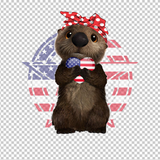 OTTER 11