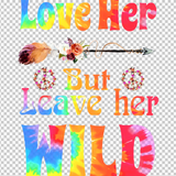 HIPPIE 498