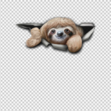 SLOTH 51