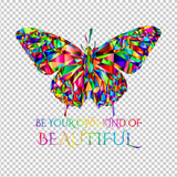 BUTTERFLY 21