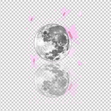 BREAST CANCER AWARENESS 497