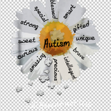 AUTISM AWARENESS 417
